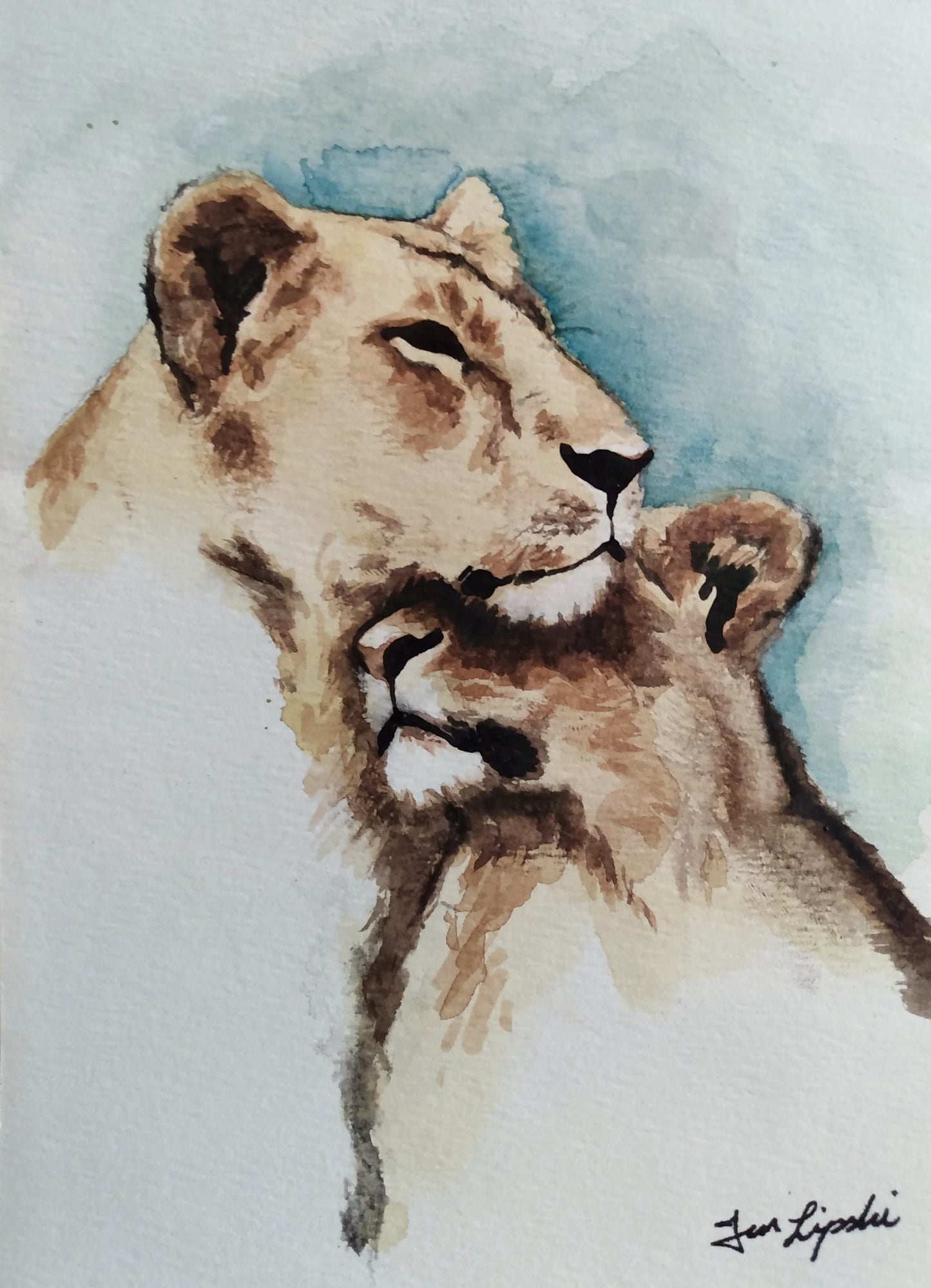 Lion Family Study (Watercolour and Ink)