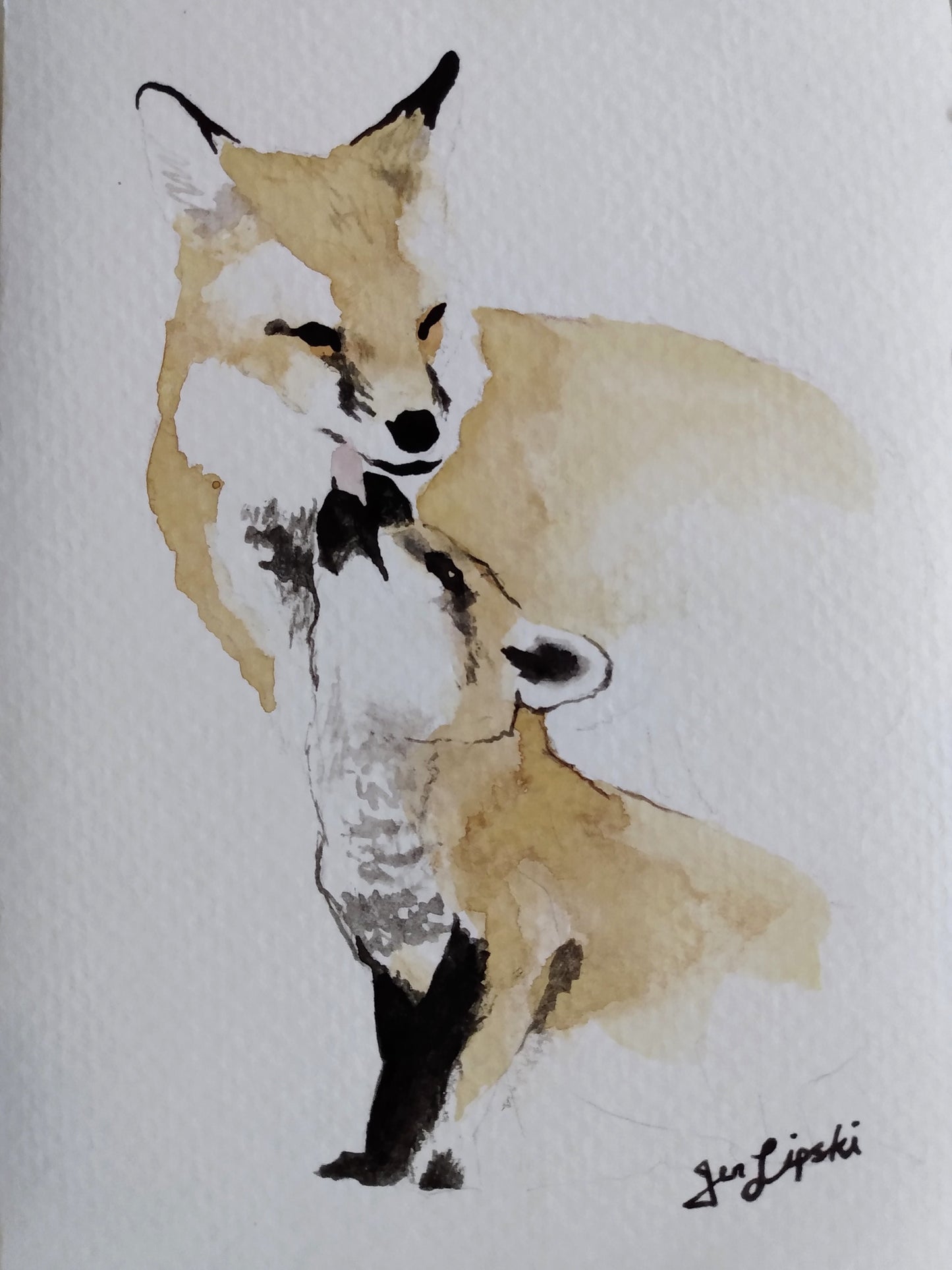 Red Fox Family Study (Watercolour and Ink)