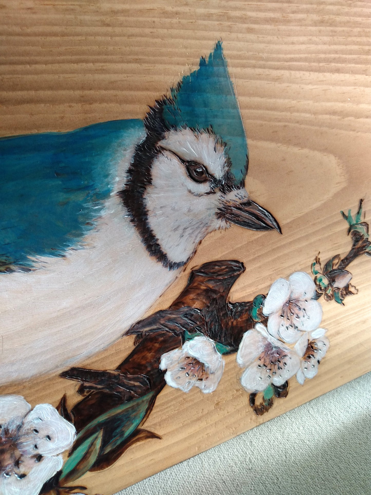 Blue Jay in the Apple Blossoms