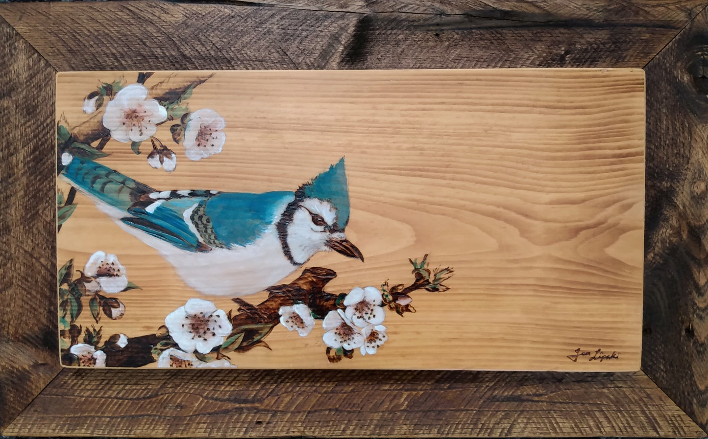 Blue Jay in the Apple Blossoms