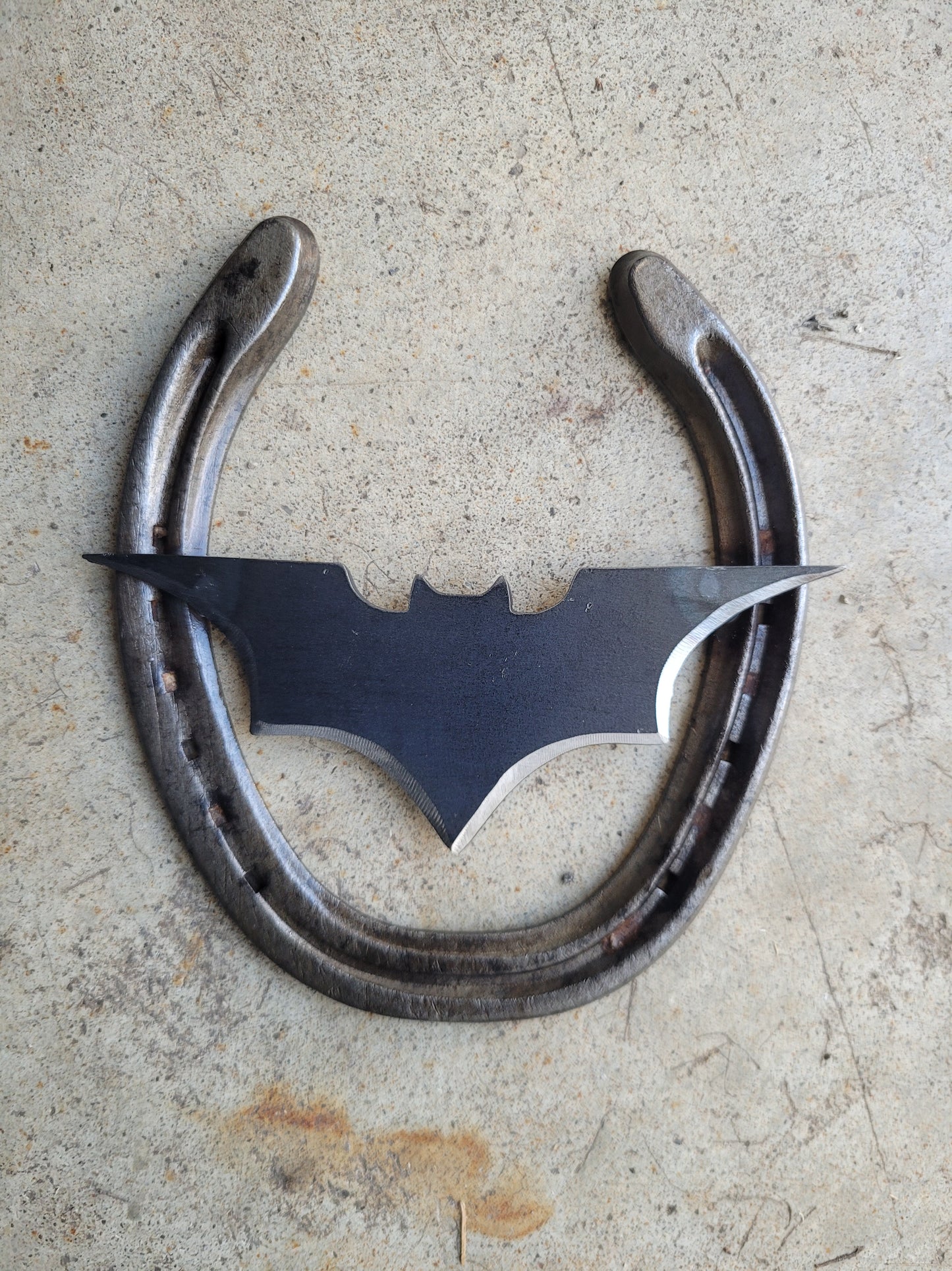 Horseshoe Metal Artwork