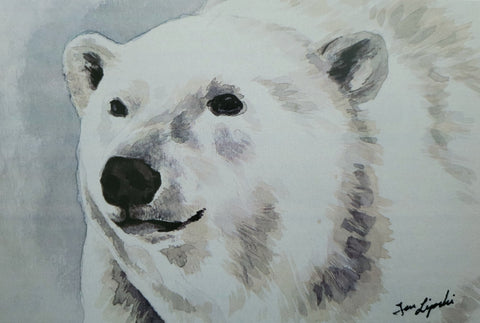 Polar Bear Study (Art Print)