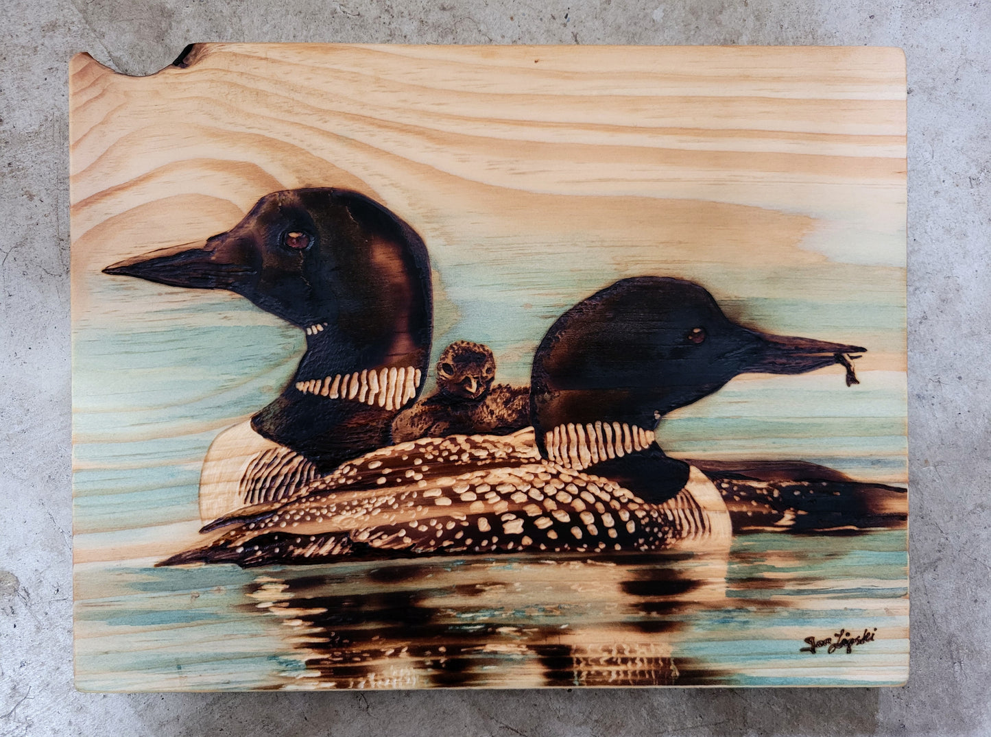 Loon Family Study