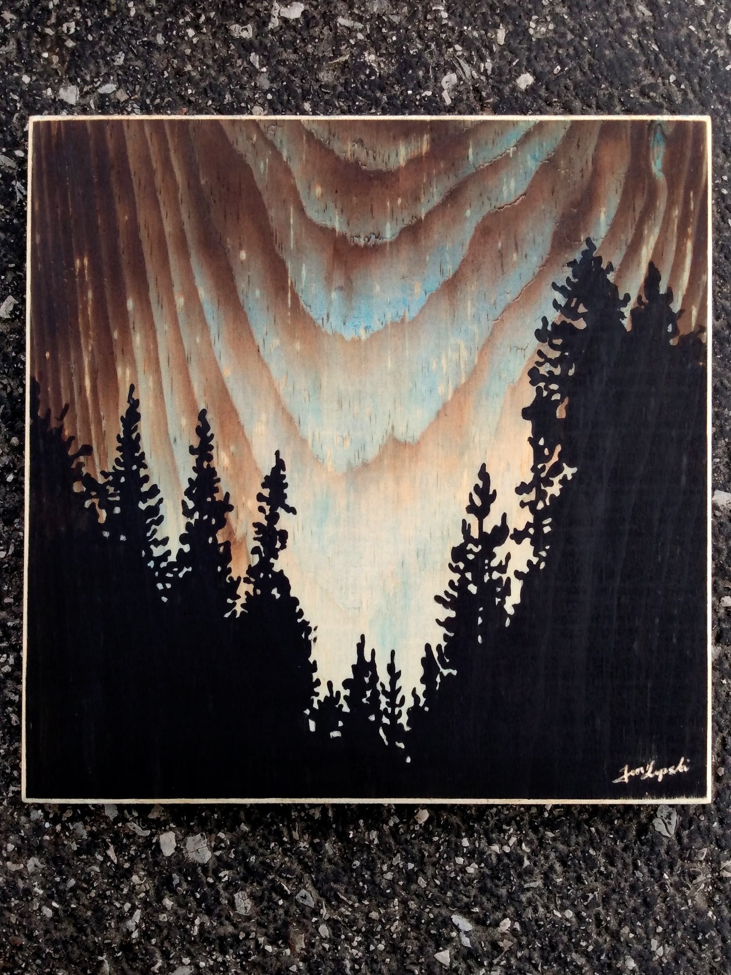 Forest Sky Silhouette
