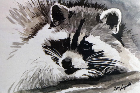 Raccoon Study (Watercolour and Ink)