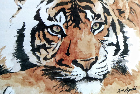 Tiger Study (Watercolour and Ink)