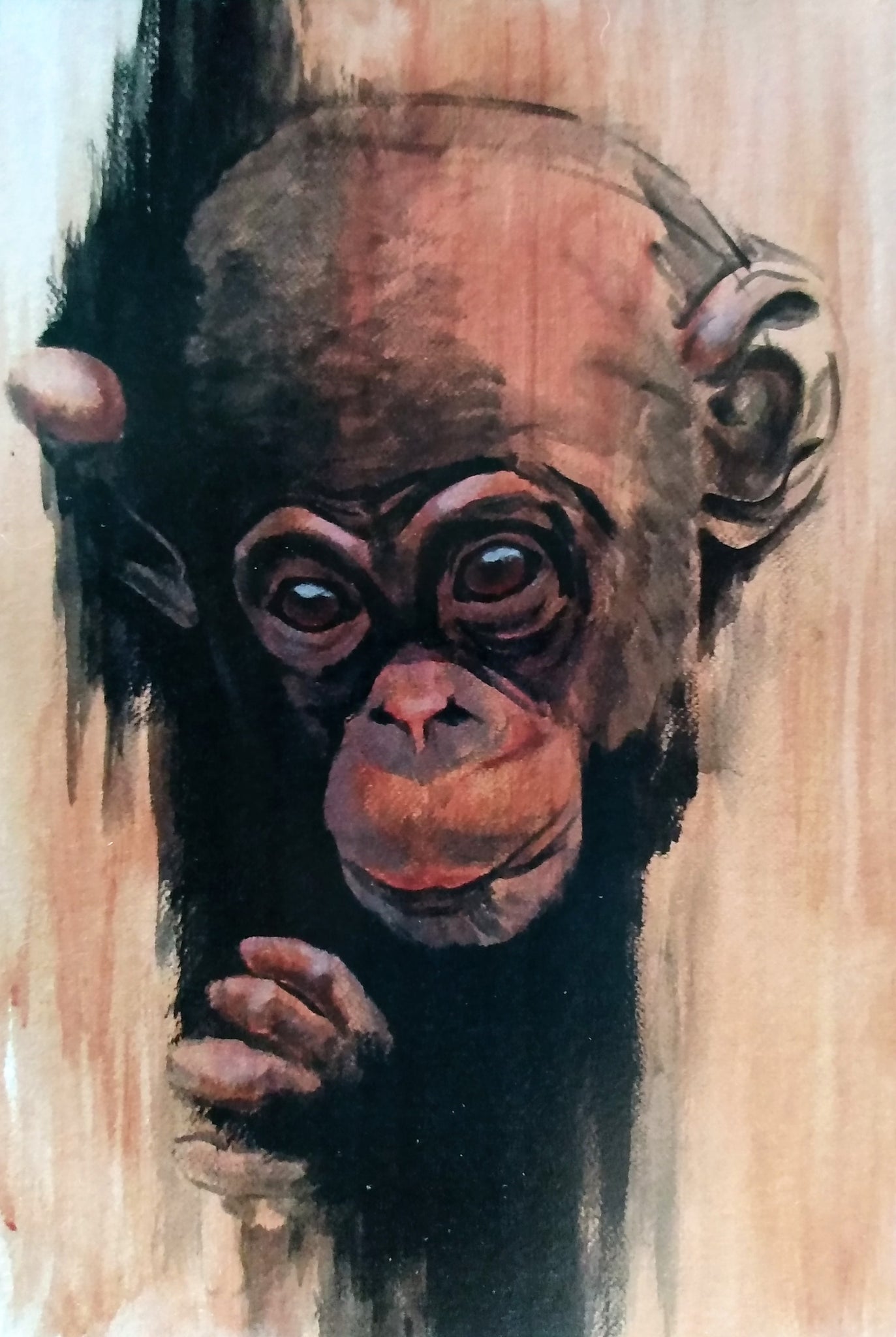 Baby Chimp Portrait (Acrylic on Paper)