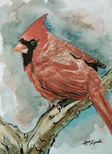 Cardinal Study (Watercolour and Ink)