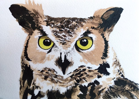 Horned Owl Study (Watercolour and Ink)