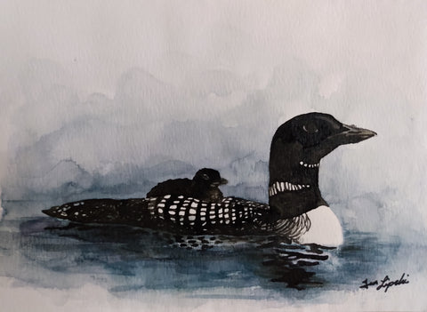 Loon Family Study (Watercolour and Ink)
