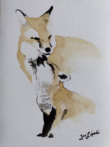 Red Fox Family Study (Watercolour and Ink)