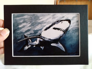 Great White Shark Study (Art Print)