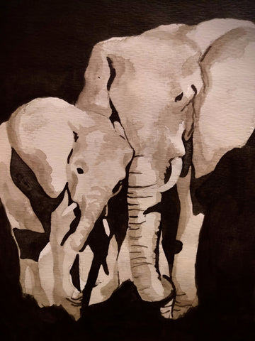 Elephant Study (Watercolour and Ink)