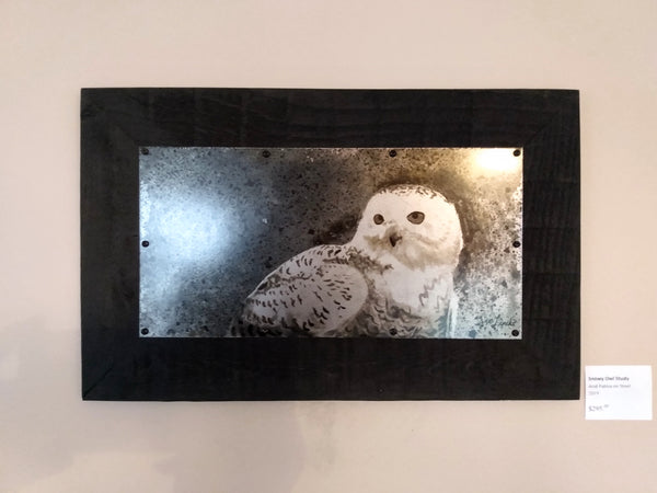 Snowy Owl Study Metal Drawing
