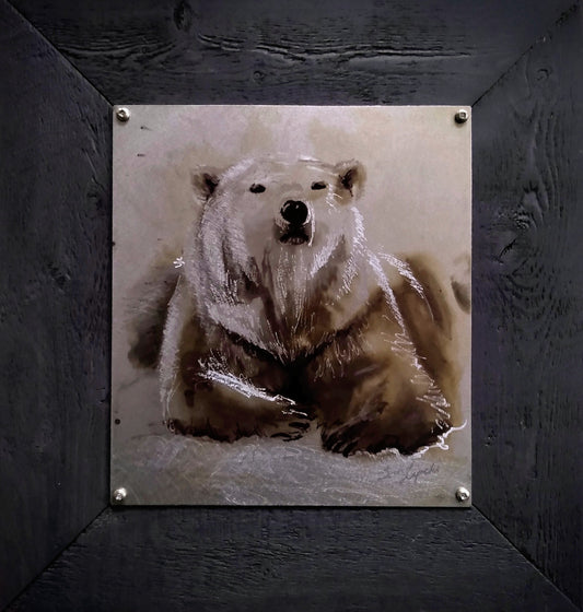 Polar Bear Study Metal Drawing