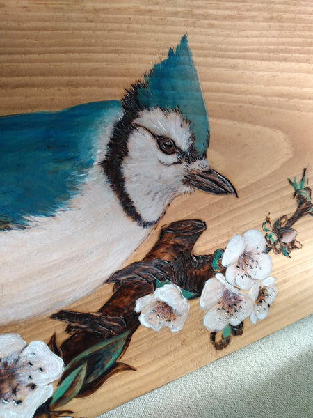 Blue Jay in the Apple Blossoms