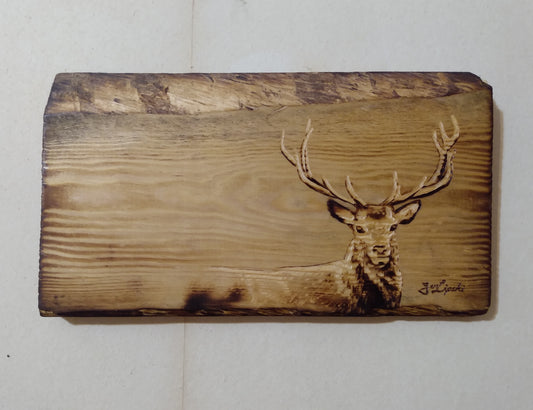 Deer Study Wood Sketch