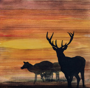 Grazing Deer Silhouette