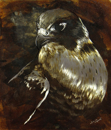 Untitled Peregrine - Peregrine Falcon Metal Drawing