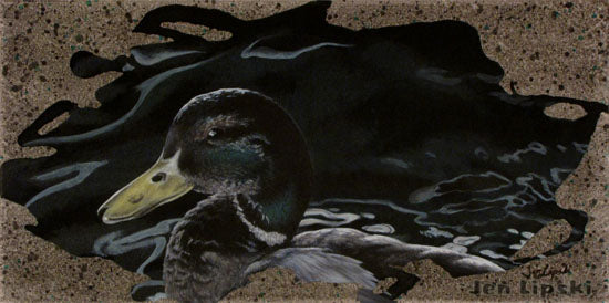 Scruffy Duck (Art Print)