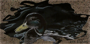 Scruffy Duck - Duck Painting - 10x20"