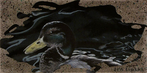 Scruffy Duck - Duck Painting - 10x20"